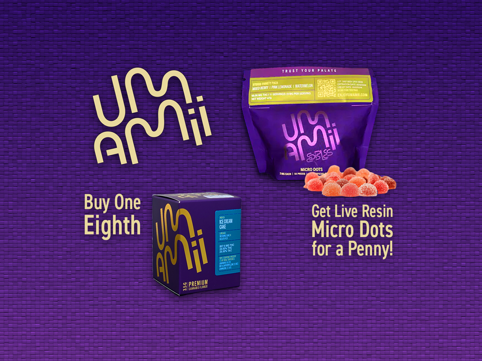 Web promo placeholder